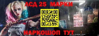 шишки Лесосибирск
