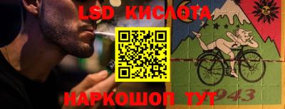 шишки Лесосибирск