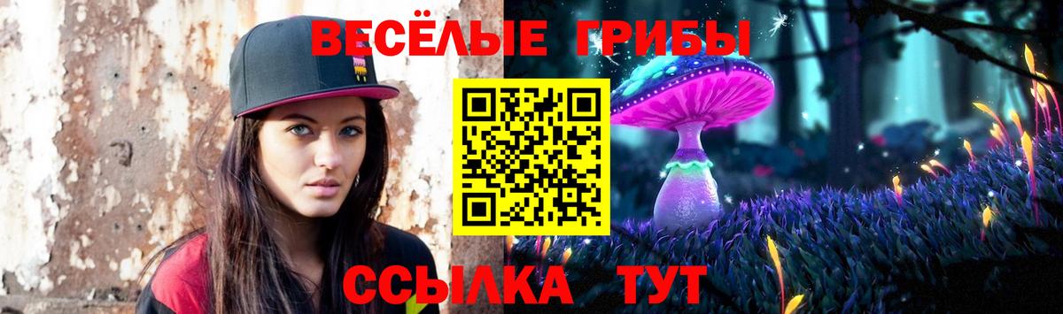 Владивосток  Галлюциногенные грибы ЛСД  Вход с VPN 